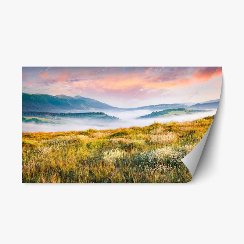 Adesivo riposizionabile alba nebbiosa nei Carpazi