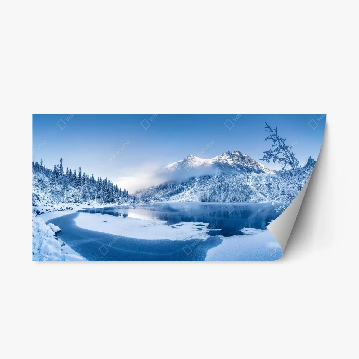 Adesivo riposizionabile panorama invernale sulle Alpi • Wallissimo®
