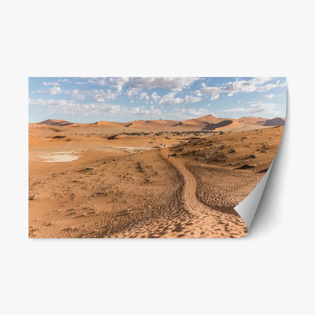Adesivo riposizionabile dune dorate all'orizzonte • Wallissimo®