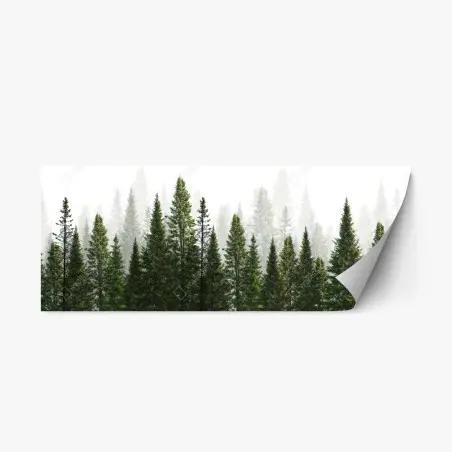 Adesivo riposizionabile foresta di abeti su sfondo bianco • Wallissimo®