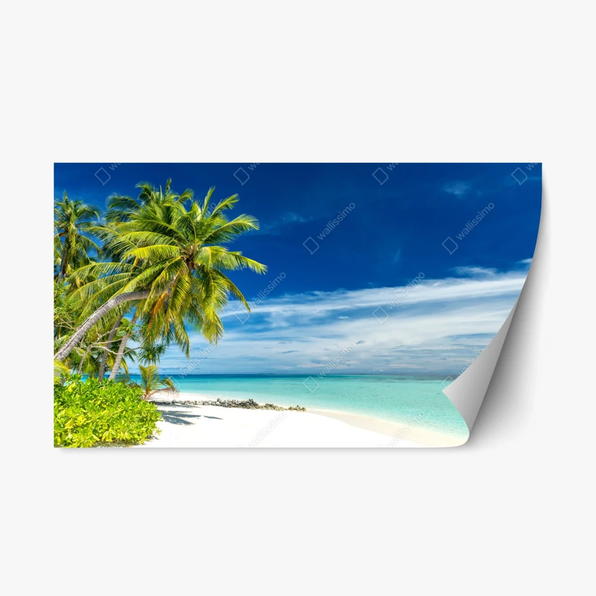 Adesivo riposizionabile oasi tropicale di palme e mare turchese • Wallissimo® Adesivo riposizionabile oasi tropicale di palme e mare turchese • Wallissimo®