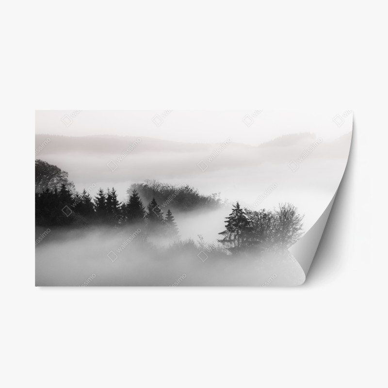 Adesivo riposizionabile foresta nella nebbia al mattino