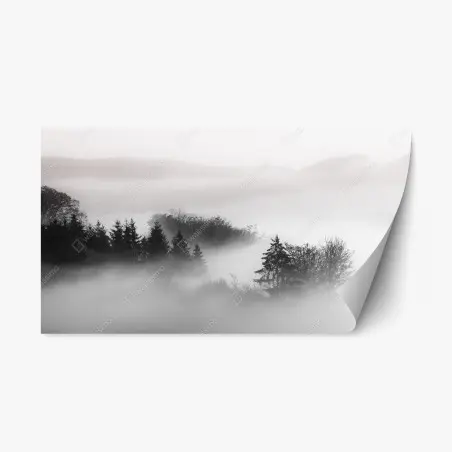 Adesivo riposizionabile foresta nella nebbia al mattino • Wallissimo®