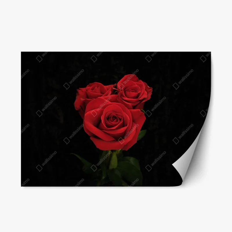 Adesivo riposizionabile eleganza di rose rosse su sfondo nero