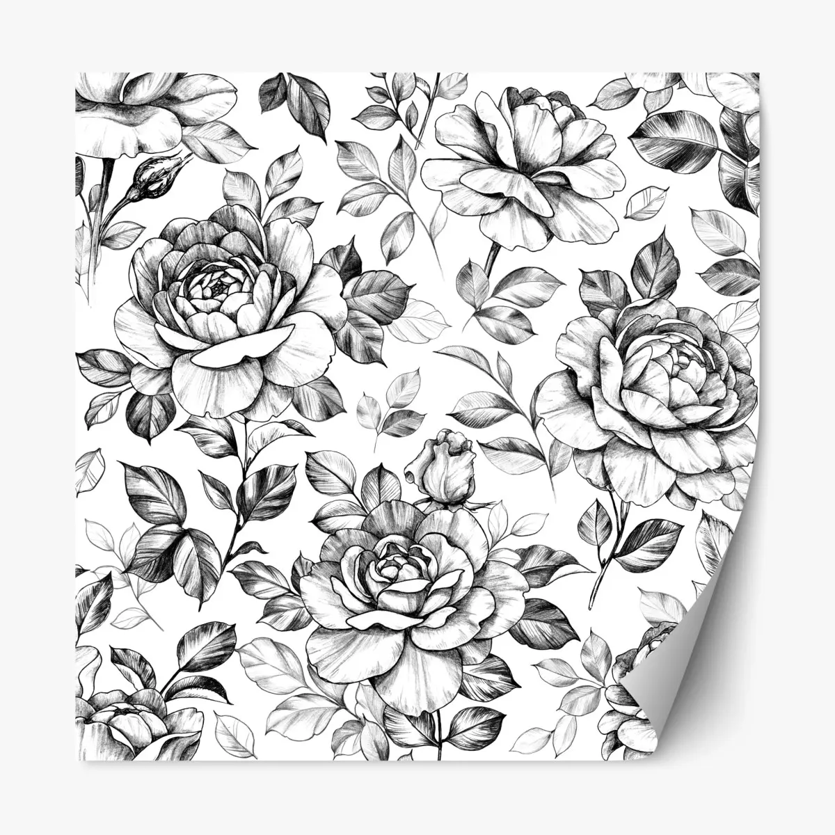 Adesivo riposizionabile motivo di rose disegnate a matita in stile vintage • Wallissimo®