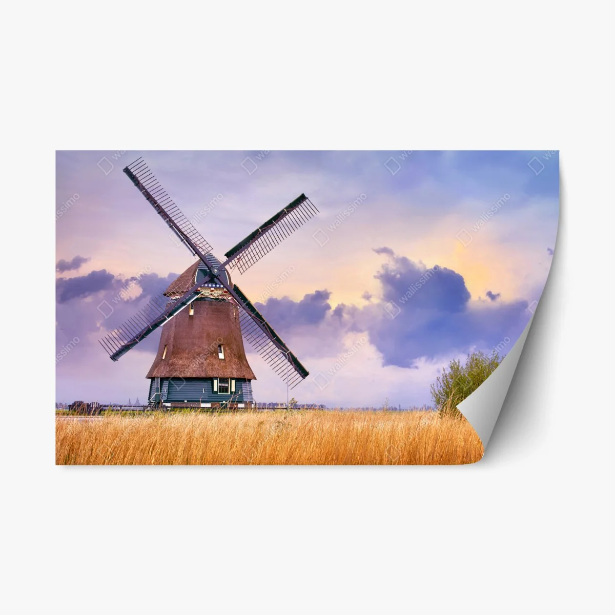 Adesivo riposizionabile mulino a vento al tramonto su campo di grano • Wallissimo® Adesivo riposizionabile mulino a vento al tramonto su campo di grano • Wallissimo®