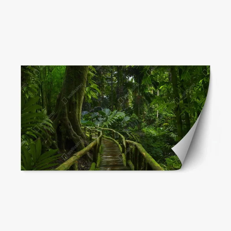 Adesivo riposizionabile passerella nella foresta pluviale lussureggiante