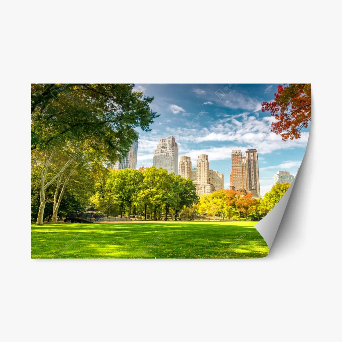 Adesivo riposizionabile autunno a Central Park, New York • Wallissimo®
