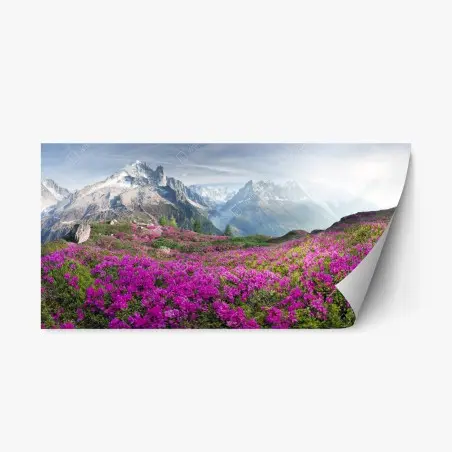 Adesivo riposizionabile fioritura di rododendri ai piedi del Monte Bianco • Wallissimo®