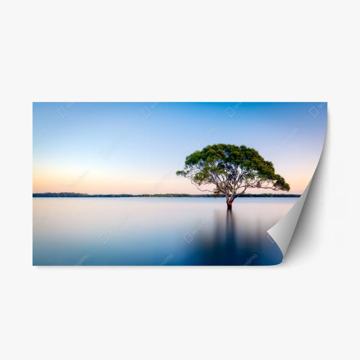 Adesivo riposizionabile albero solitario sul lago al tramonto • Wallissimo®
