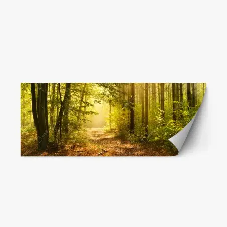 Adesivo riposizionabile sentiero dorato nella foresta • Wallissimo®