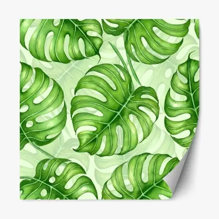 Adesivo riposizionabile motivo botanico di foglie di monstera in acquerello • Wallissimo®