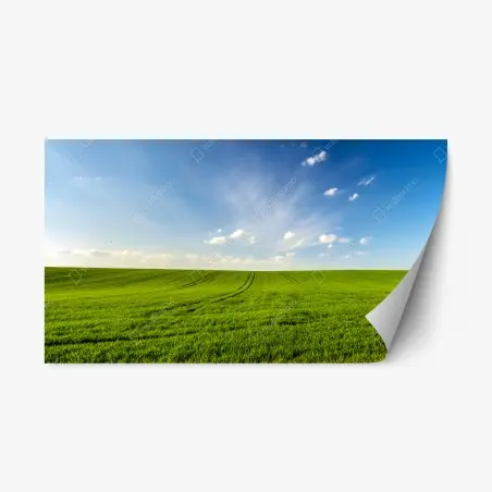 Adesivo riposizionabile panorama primaverile campo di grano verde • Wallissimo®