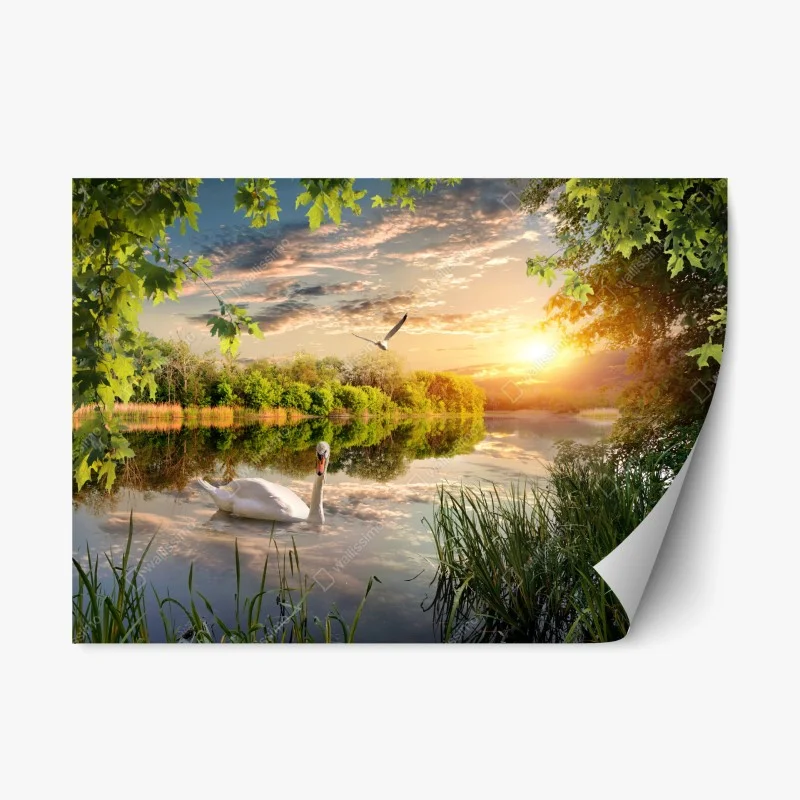 Adesivo riposizionabile tramonto sul lago con cigno e riflessi