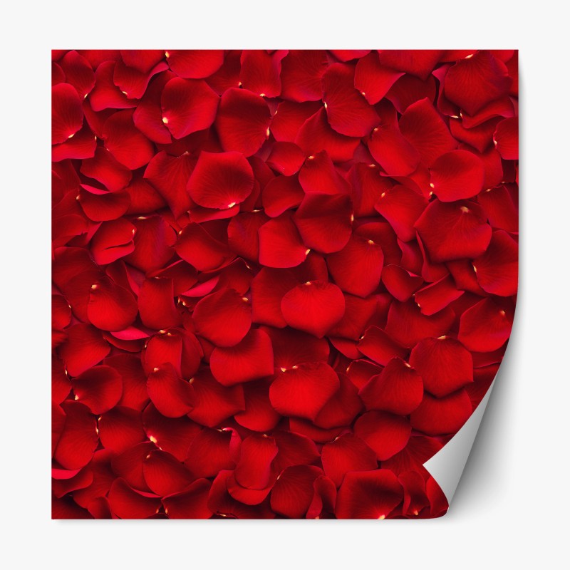 Adesivo riposizionabile mosaico di petali di rosa rossa