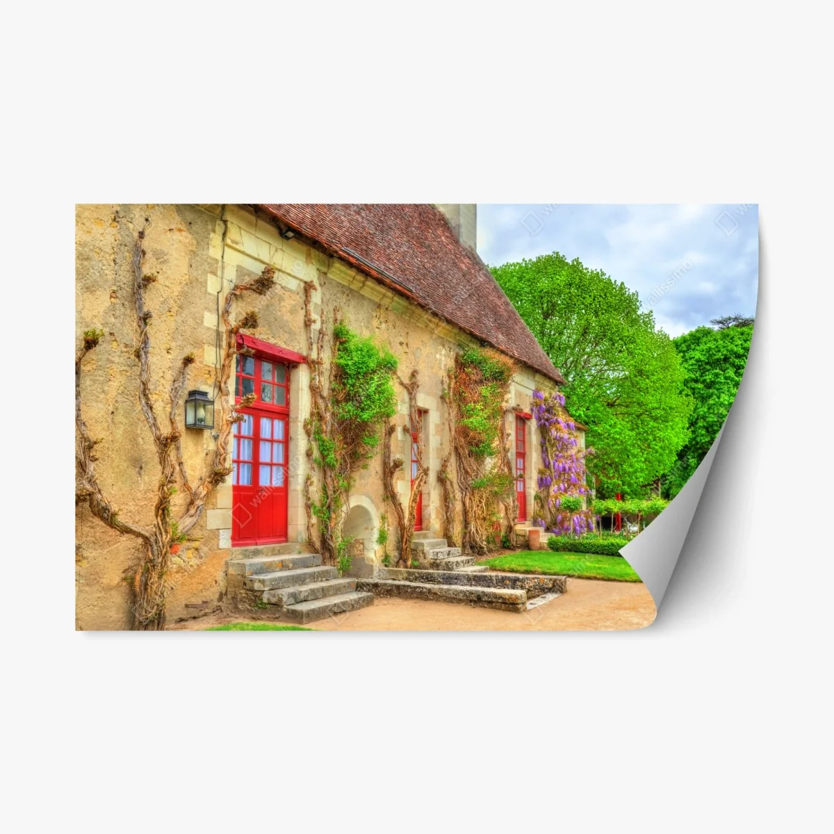 Adesivo riposizionabile facciata di campagna con porte rosse e glicine • Wallissimo® Adesivo riposizionabile facciata di campagna con porte rosse e glicine • Wallissimo®