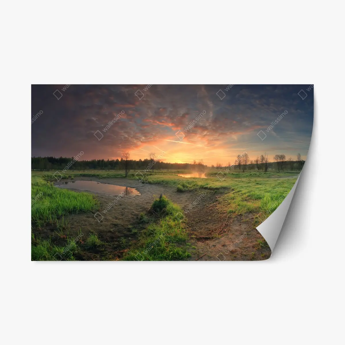 Adesivo riposizionabile tramonto dorato sulla palude • Wallissimo®