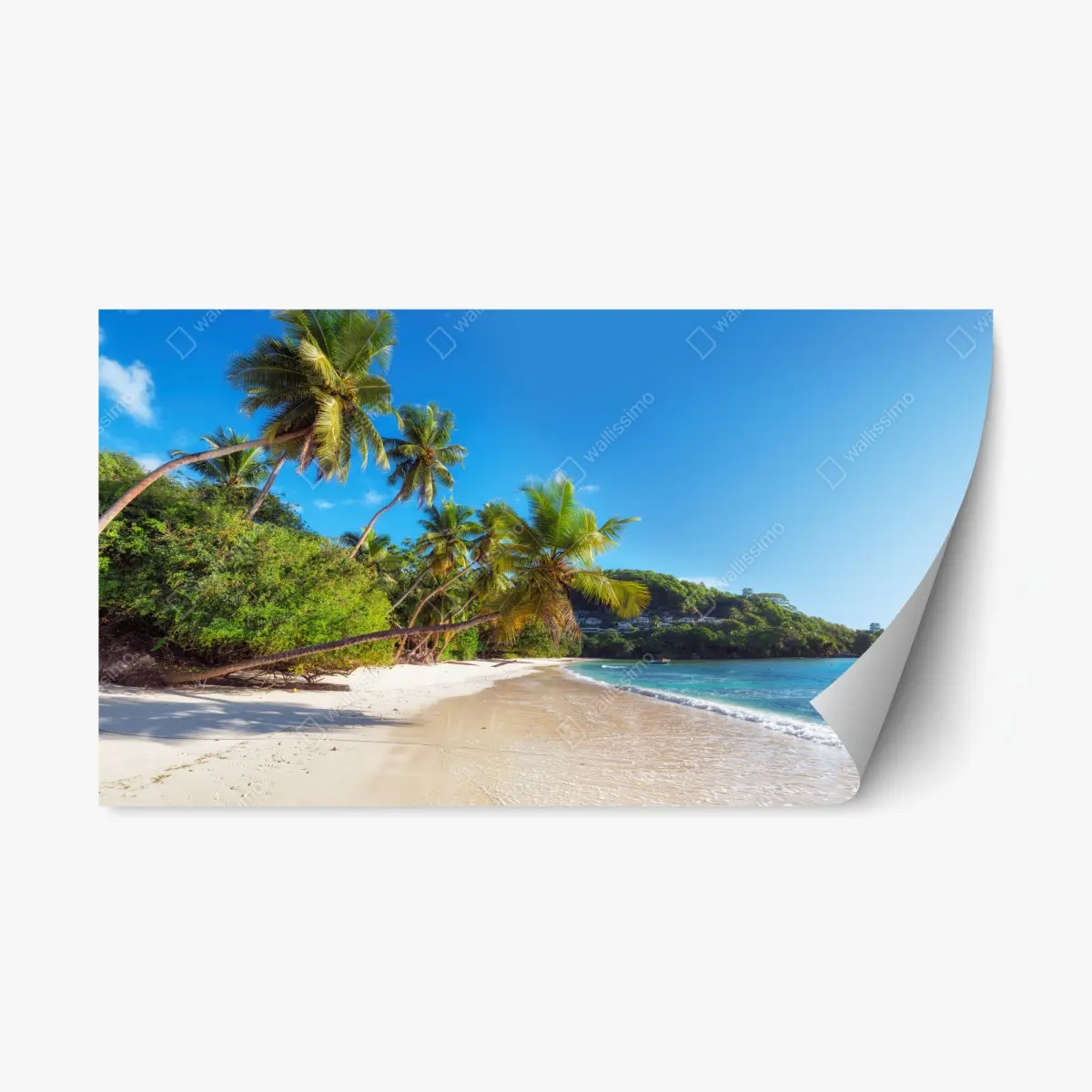 Adesivo riposizionabile spiaggia tropicale con palme e acque turchesi • Wallissimo®