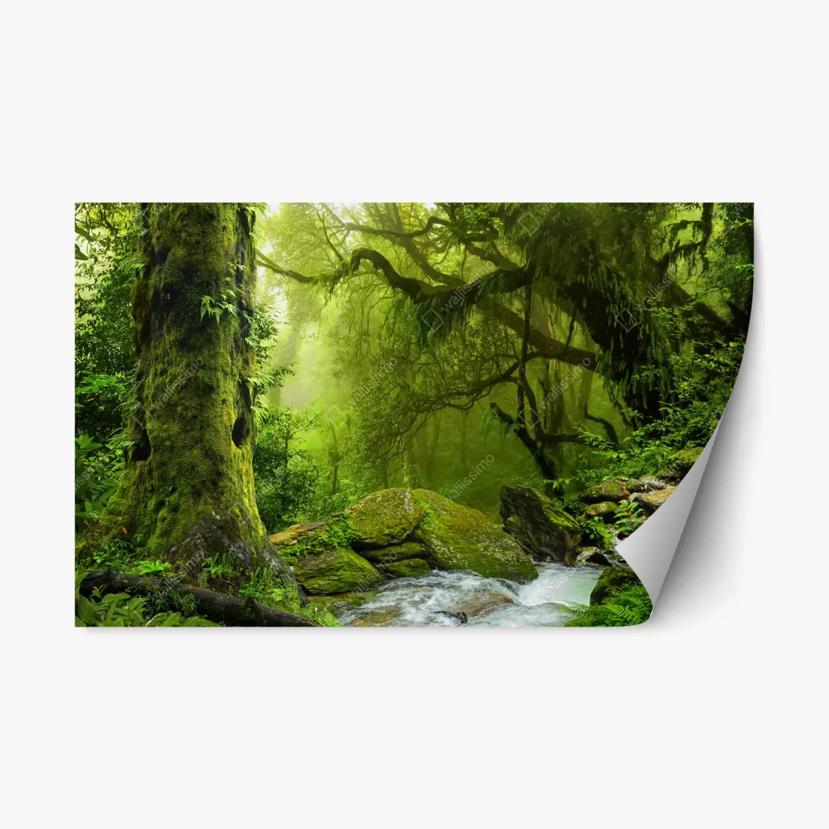 Adesivo riposizionabile foresta incantata verdeggiante • Wallissimo®
