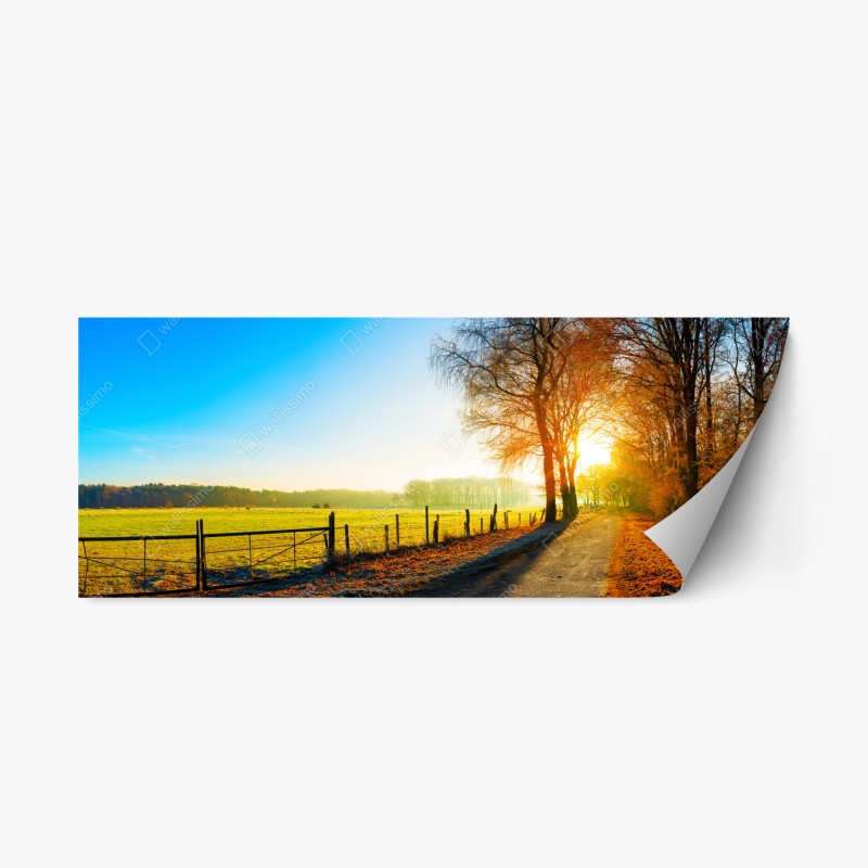 Adesivo riposizionabile strada di campagna al sorgere del sole