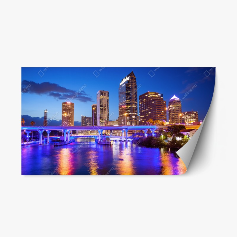 Adesivo riposizionabile panorama notturno di Tampa, Florida