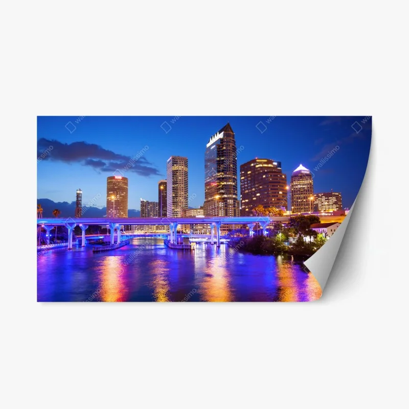 Adesivo riposizionabile panorama notturno di Tampa, Florida