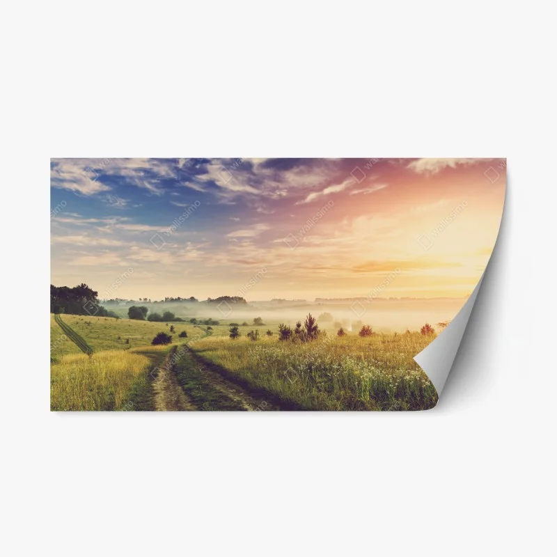 Adesivo riposizionabile mattina nebbiosa nella campagna dorata