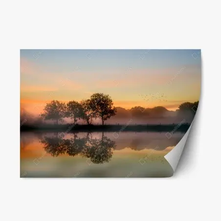 Adesivo riposizionabile alba autunnale nebbiosa con riflesso • Wallissimo®