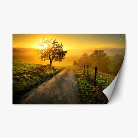 Adesivo riposizionabile alba dorata sulla collina • Wallissimo®