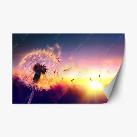 Adesivo riposizionabile soffione dorato al tramonto • Wallissimo®