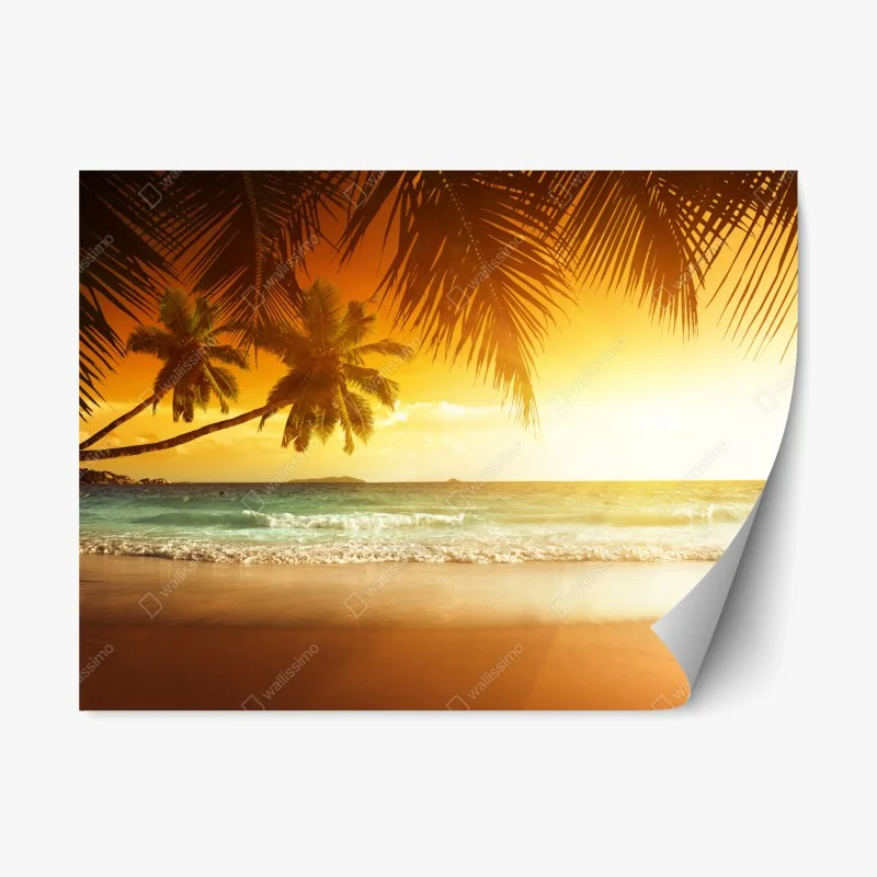 Adesivo riposizionabile tramonto sui Caraibi con palme