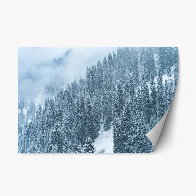 Adesivo riposizionabile foresta di abeti sotto la neve