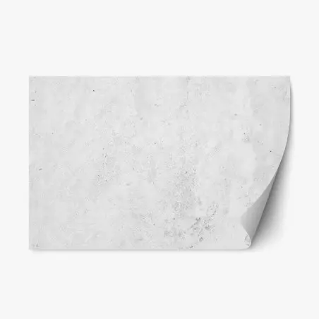 Adesivo riposizionabile effetto cemento grigio minimalista • Wallissimo®