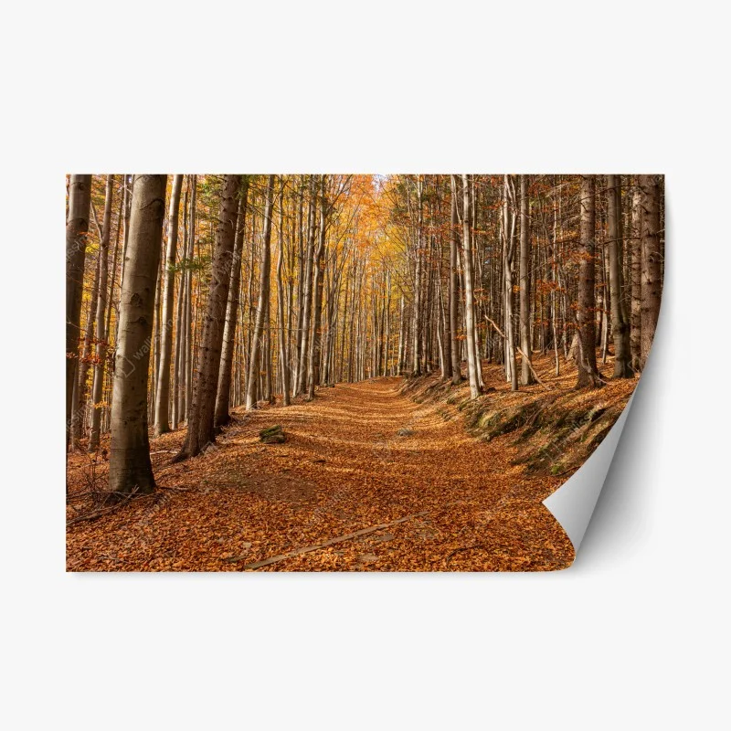 Adesivo riposizionabile sentiero d'autunno nel bosco dorato