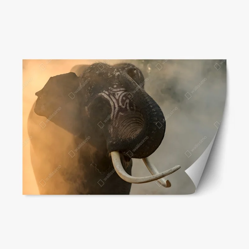 Adesivo riposizionabile ritratto maestoso dell'elefante Plai Arm da Surin, Thailandia