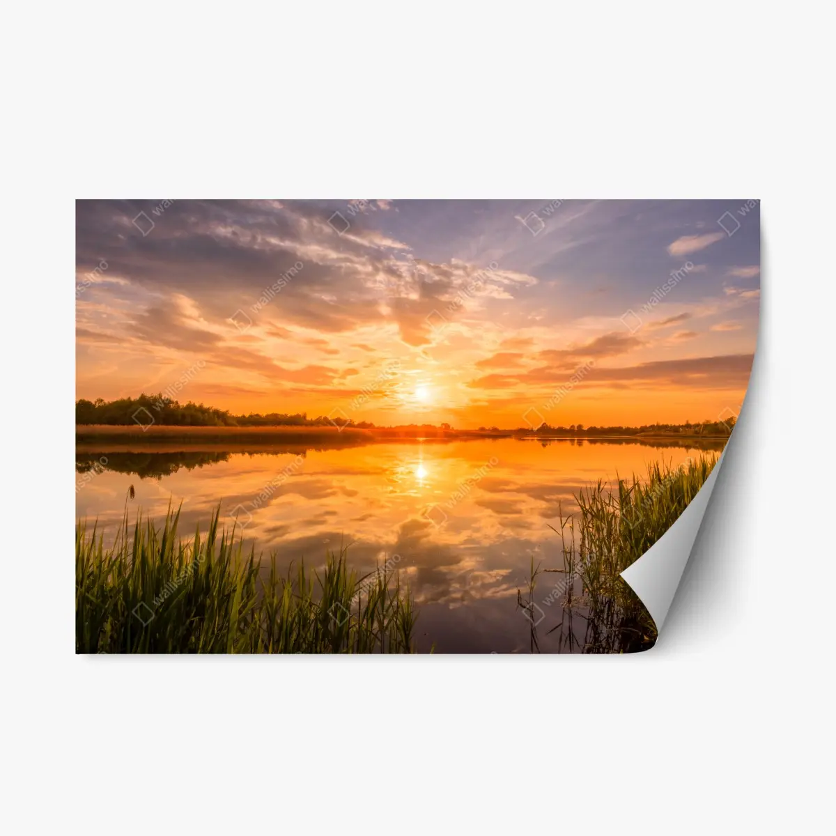 Adesivo riposizionabile tramonto dorato sul lago • Wallissimo®