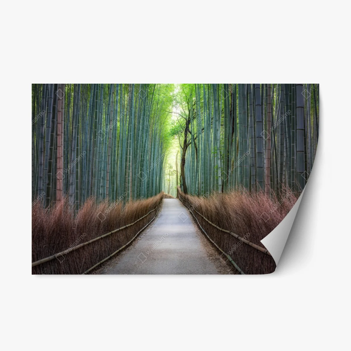 Adesivo riposizionabile viale nella foresta di bambù • Wallissimo® Adesivo riposizionabile viale nella foresta di bambù • Wallissimo®