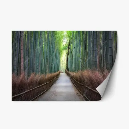 Adesivo riposizionabile viale nella foresta di bambù • Wallissimo®