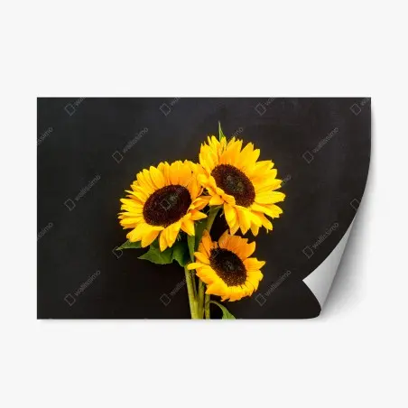 Adesivo riposizionabile girasoli su sfondo scuro • Wallissimo®