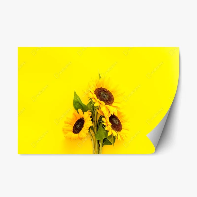 Adesivo riposizionabile girasoli luminosi su sfondo giallo