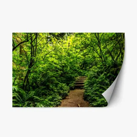 Adesivo riposizionabile sentiero nel bosco lussureggiante • Wallissimo®