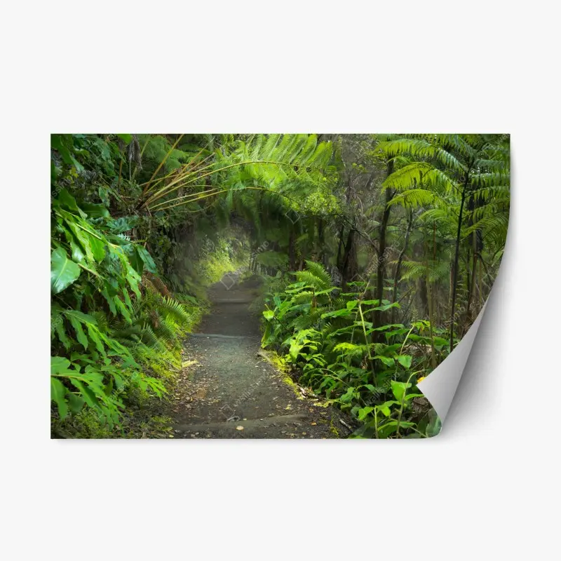 Adesivo riposizionabile sentiero nella foresta pluviale di Kilauea Iki, Volcanoes National Park