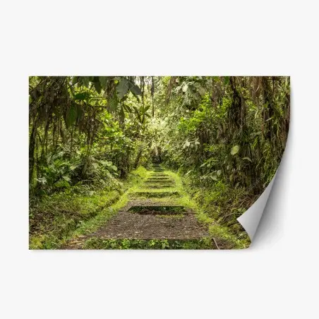 Adesivo riposizionabile sentiero nascosto nella foresta pluviale • Wallissimo®