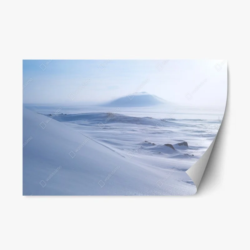 Adesivo riposizionabile panoramica artica silenziosa della tundra di Chukotka