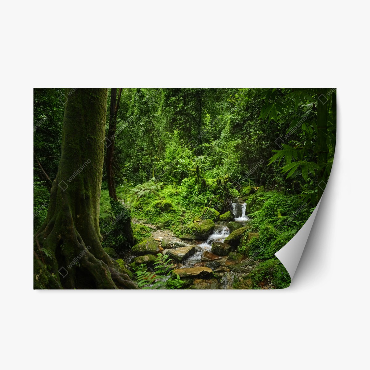 Adesivo riposizionabile rifugio verde nella foresta pluviale • Wallissimo® Adesivo riposizionabile rifugio verde nella foresta pluviale • Wallissimo®