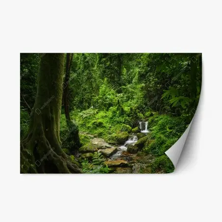 Adesivo riposizionabile rifugio verde nella foresta pluviale • Wallissimo®