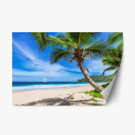 Adesivo riposizionabile spiaggia tropicale con palma inclinata e vela sull'orizzonte • Wallissimo®