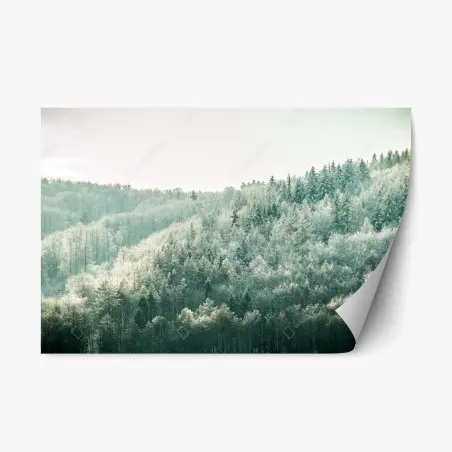 Adesivo riposizionabile silenzio luminoso della foresta innevata • Wallissimo®