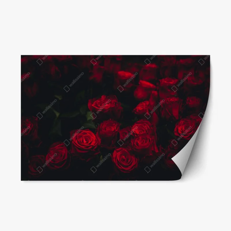 Adesivo riposizionabile composizione di rose rosse su sfondo scuro