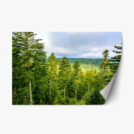 Adesivo riposizionabile panorama autunnale della Foresta Nera • Wallissimo®